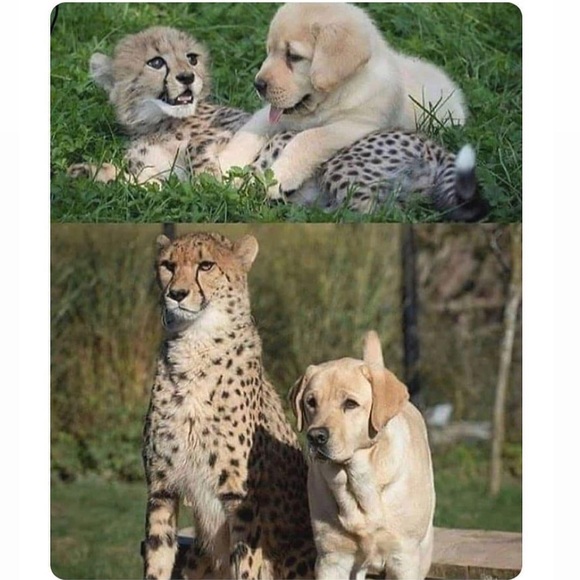 🌸⭐️💘 - Picture 2 of 4